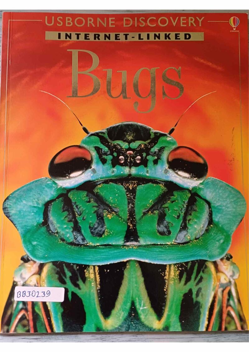 Usborne Discovery Bugs