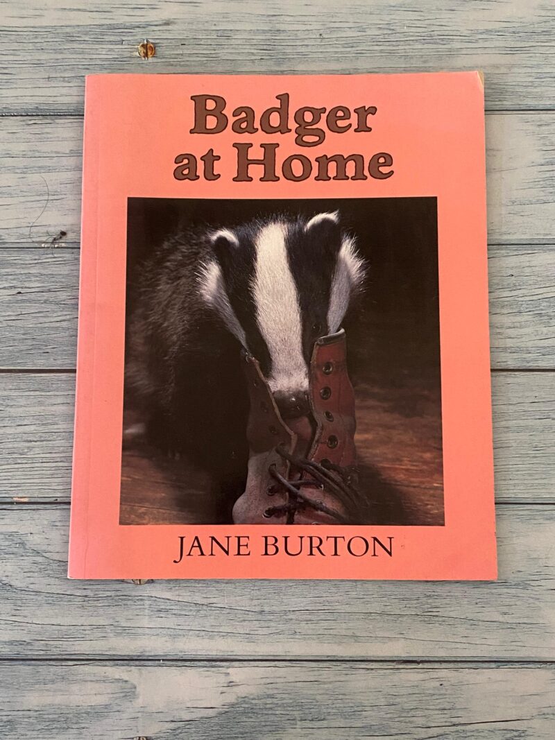 Badger at Home