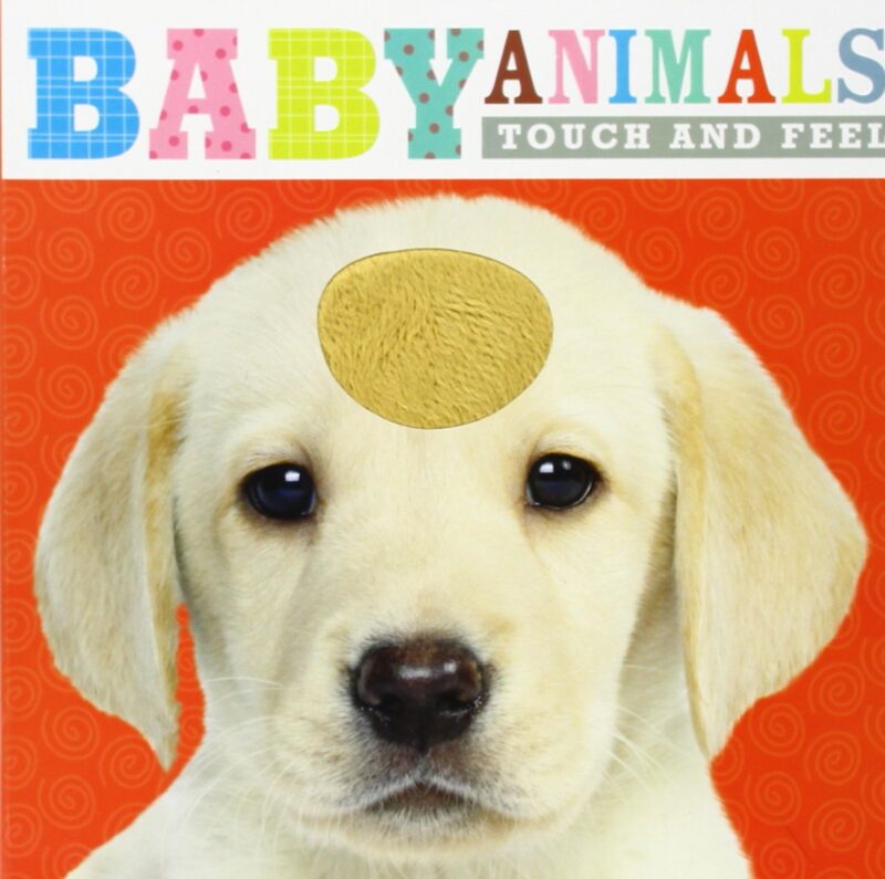 Baby Animals Touch and feel