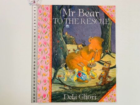 Mr Bear to the Rescue